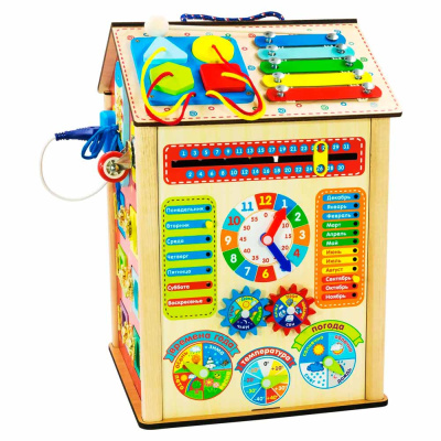 Развивающая игрушка Бизидом Мастер игрушек БД01 1